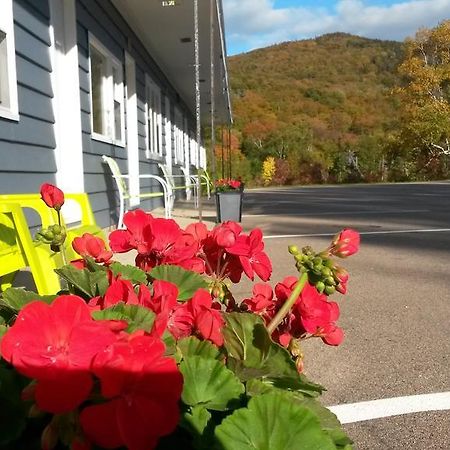 Cornerstone Motel Cheticamp Bagian luar foto