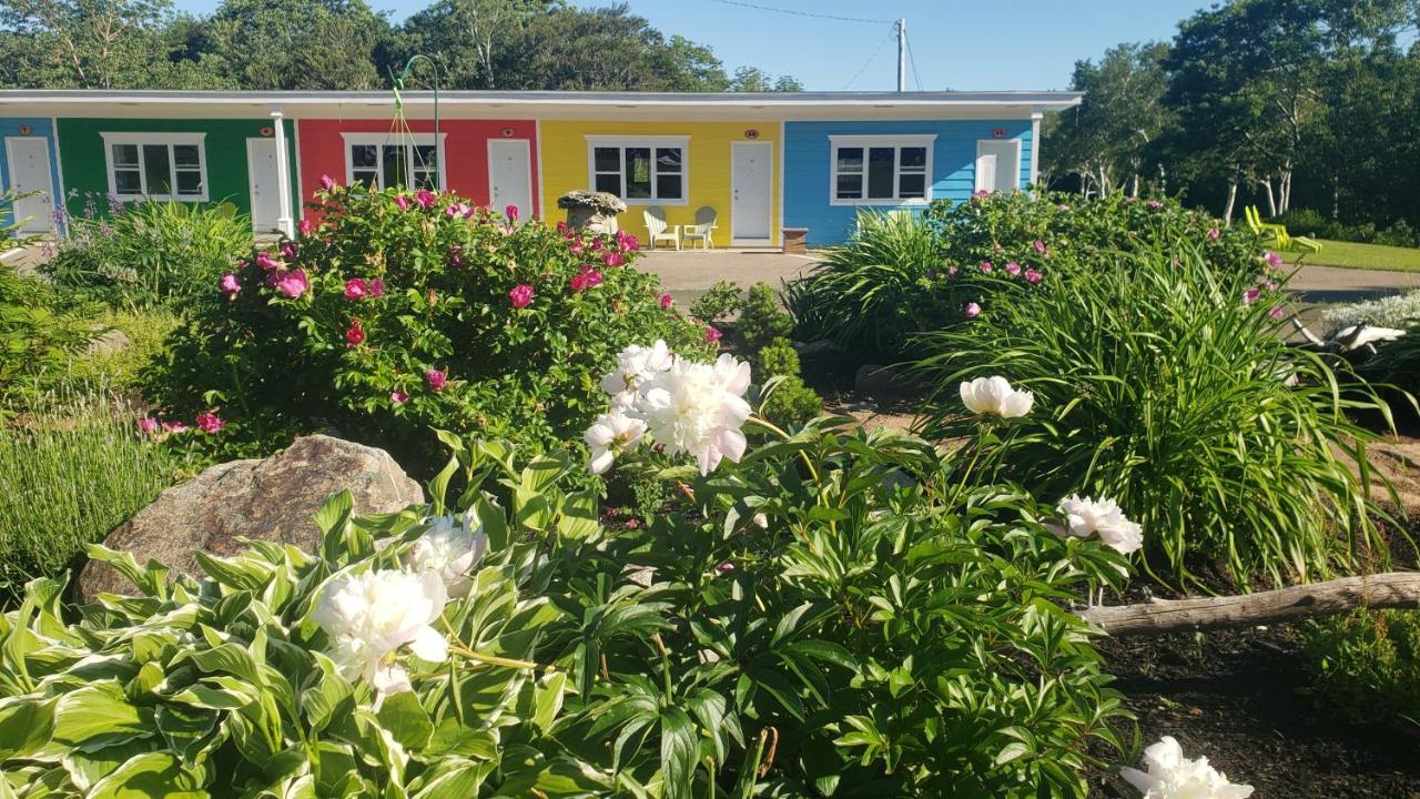 Cornerstone Motel Cheticamp Bagian luar foto