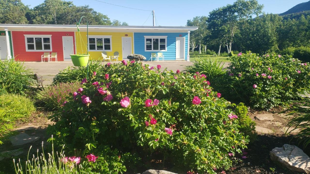 Cornerstone Motel Cheticamp Bagian luar foto
