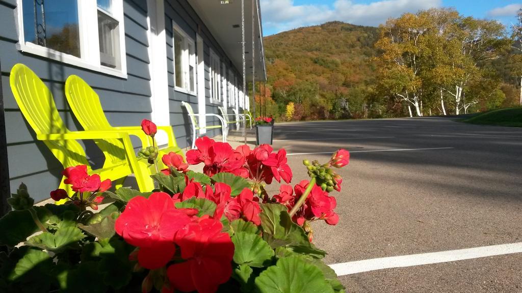 Cornerstone Motel Cheticamp Bagian luar foto